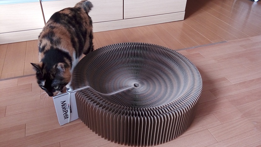 続 爪とぎ そして猫砂 旅にゃん日記 続 爪とぎ そして猫砂 旅にゃん日記