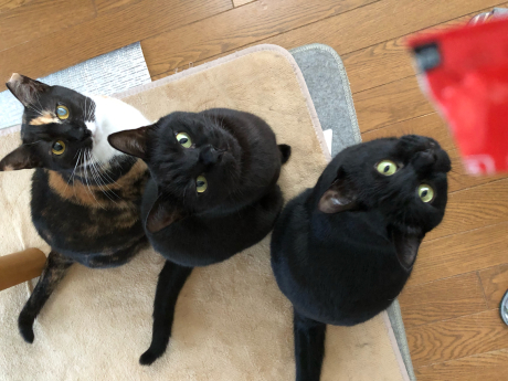 よ~く見てみよう_e0355177_18071831.jpg