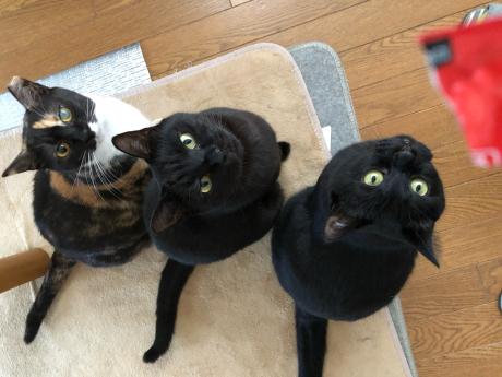 振り返りありがとうございました。_e0355177_18071894.jpg