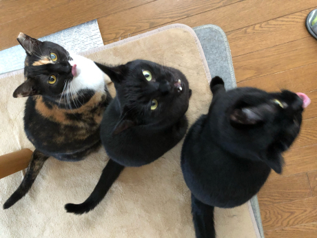よ~く見てみよう_e0355177_18072071.jpg
