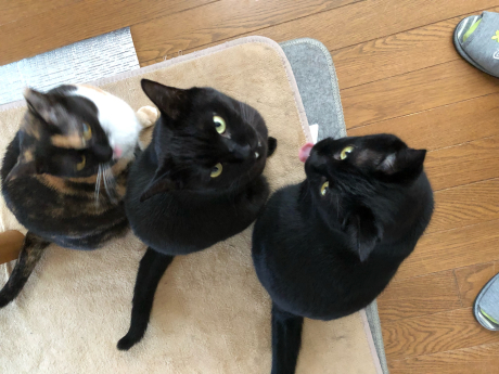よ~く見てみよう_e0355177_18072232.jpg