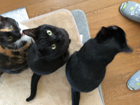 よ~く見てみよう_e0355177_18072441.jpg