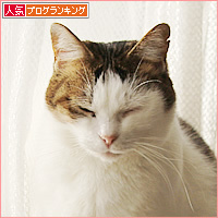 まねきねこ_a0389088_08432573.jpg