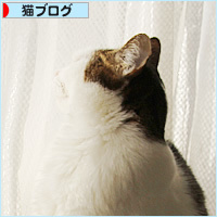 まねきねこ_a0389088_08432592.jpg