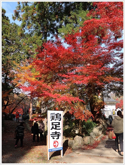 名古屋発、おひとり参加のツアー 備忘録 その2 多良峡から鶏足寺、その前に昼食もね_b0175688_00015606.jpg