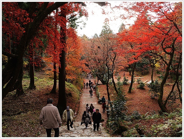 名古屋発、おひとり参加のツアー 備忘録 その2 多良峡から鶏足寺、その前に昼食もね_b0175688_00202200.jpg