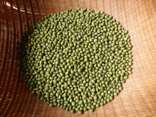 今年の豆の収穫_d0366590_17173679.jpg