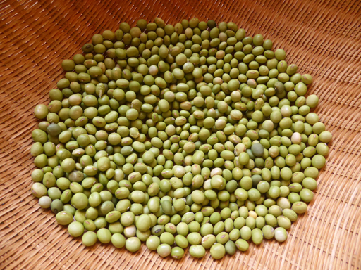 今年の豆の収穫_d0366590_17173756.jpg