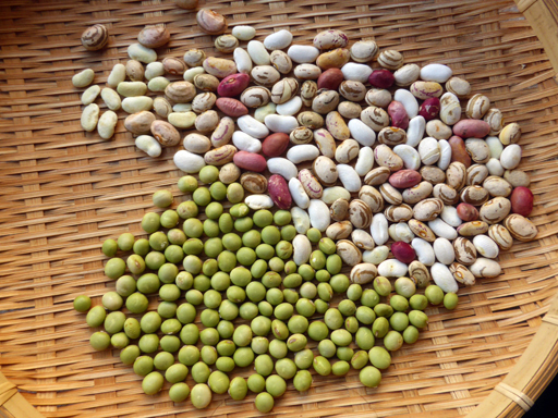 大豆と小豆の収穫、冬に向かう畑_d0366590_19300787.jpg