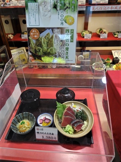 高知のお母さんの知恵、高知の土佐料理にそれを感じました。お母さんのことも絵の愛情が高知の偉人輩出の要因ではないか・・・高知のお母さん、高知空港_d0181492_21155645.jpg