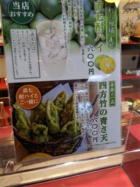 高知のお母さんの知恵、高知の土佐料理にそれを感じました。お母さんのことも絵の愛情が高知の偉人輩出の要因ではないか・・・高知のお母さん、高知空港_d0181492_21160491.jpg