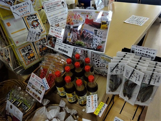 高知のお母さんの知恵、高知の土佐料理にそれを感じました。お母さんのことも絵の愛情が高知の偉人輩出の要因ではないか・・・高知のお母さん、高知空港_d0181492_21203020.jpg