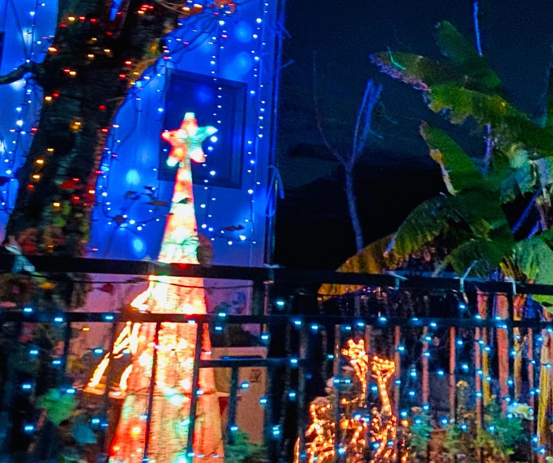 わが家のイルミネーションは?_d0020993_08324727.jpg