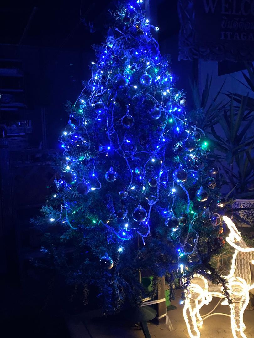 わが家のイルミネーションは?_d0020993_08330163.jpg