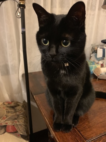 近すぎる_e0358096_21135633.jpeg