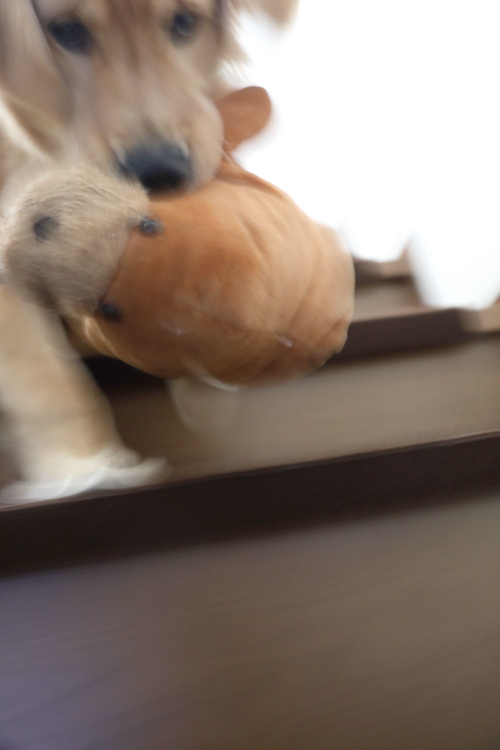 ダークサイドララ坊♪_b0275998_12144555.jpg