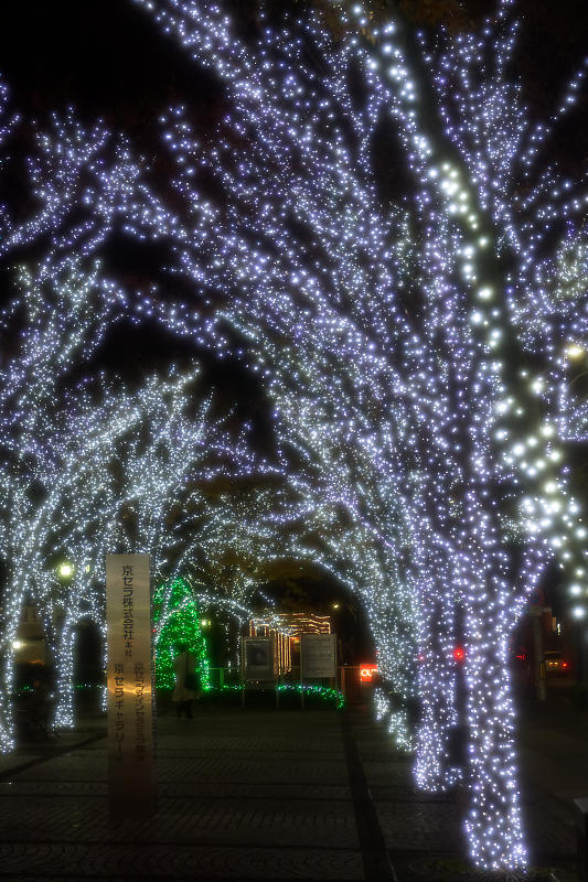 2019クリスマスイルミネーション@京セラ本社_f0032011_20560166.jpg