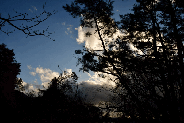 Ordinary camp(with magic cube)閉幕_b0223512_22514682.gif