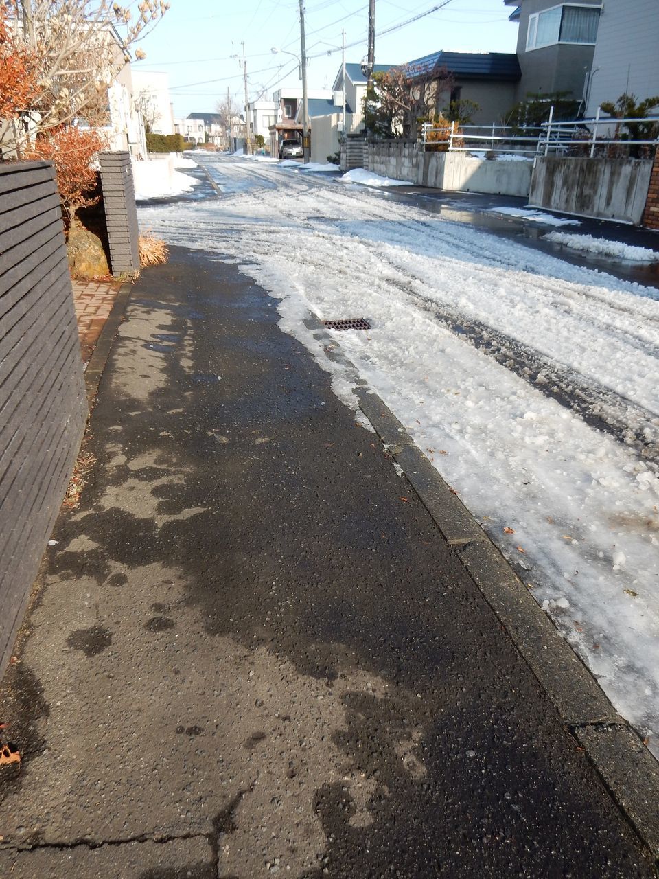 10℃を越えました_c0025115_21394384.jpg