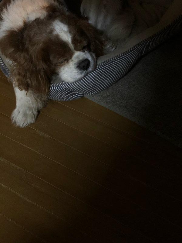 super mild地獄_c0048536_16361088.jpg