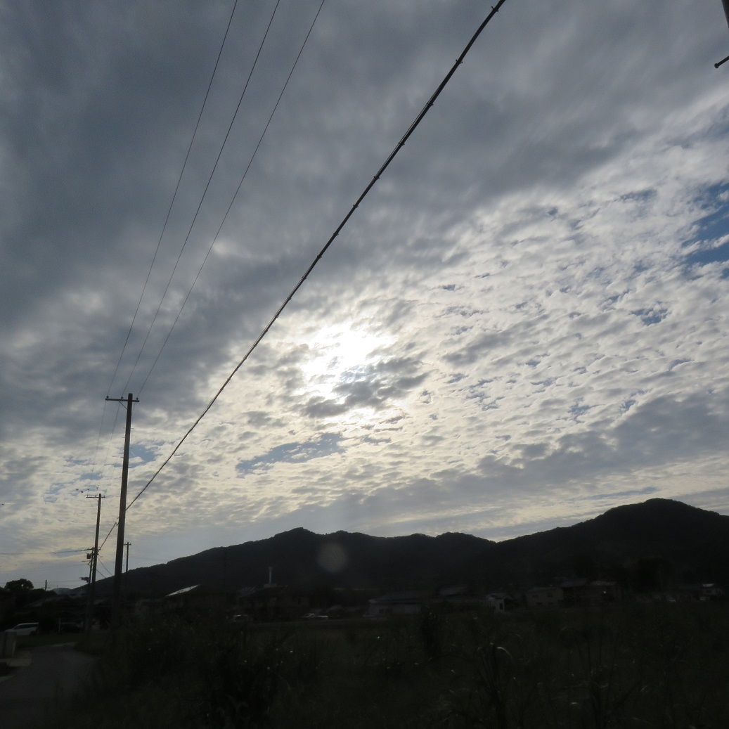 イワシ雲、ウロコ雲、ヒツジ雲、サバ雲？_d0048541_22311883.jpg