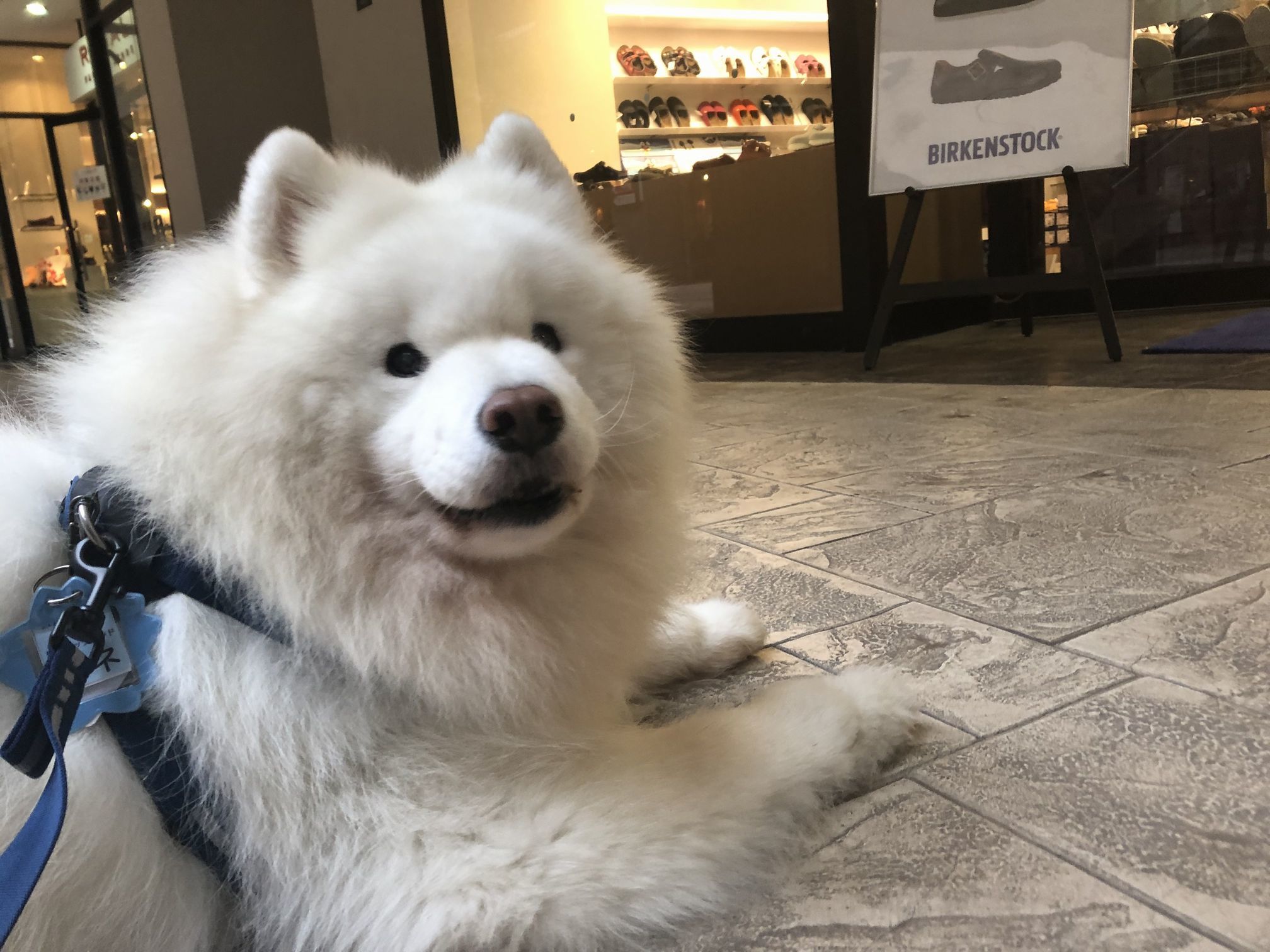 2019年10月後半 インスタ写真集 その1_f0128542_01052482.jpg