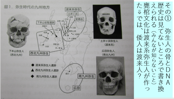 甕棺に葬られた倭人は、すべて渡来系の人たちだった_a0237545_23314086.png