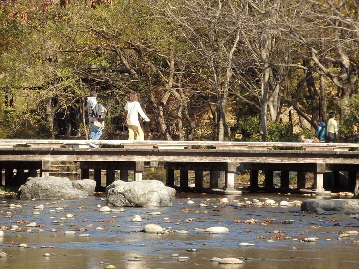 『木の実と水鳥と風景を･････(木曽川水園)』_d0054276_20335760.jpg