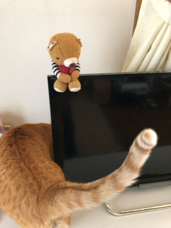 あらたな犠牲者_e0355177_16142417.jpg