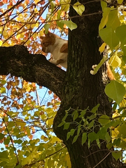 a0258686_08410850.jpeg