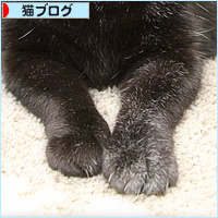 長生きの愛しさ_a0389088_10255356.jpg