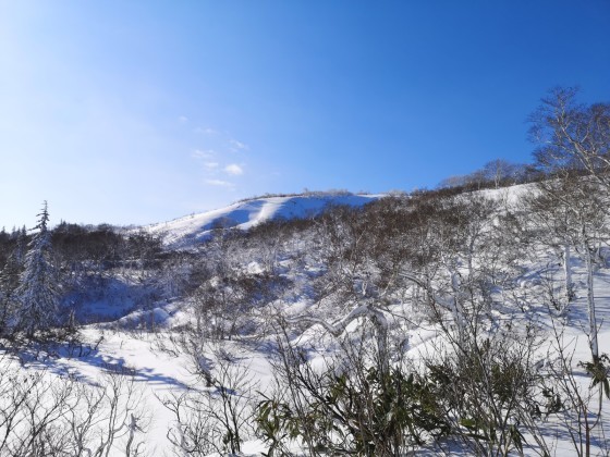 BCスキー　余市岳