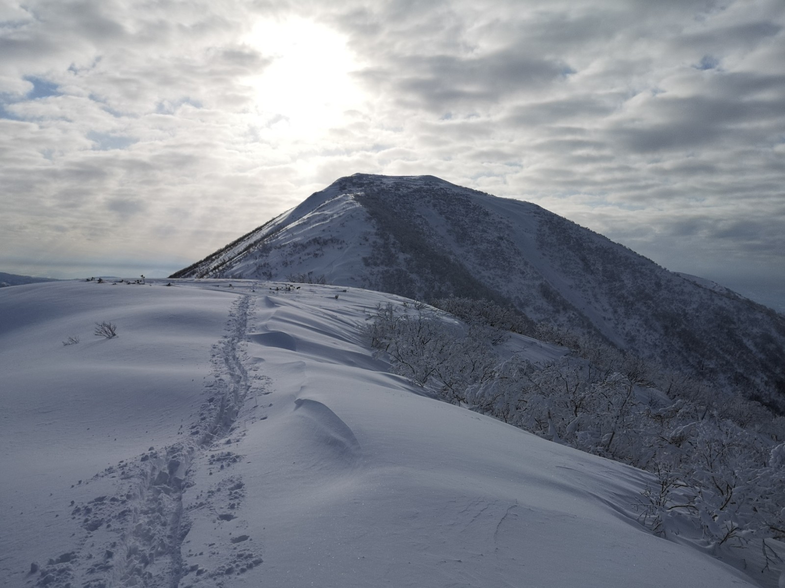 BCスキー 余市岳_d0198793_13505814.jpg