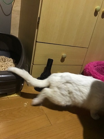 トイレもひとりで出来ますよ!_f0242002_23180962.jpg