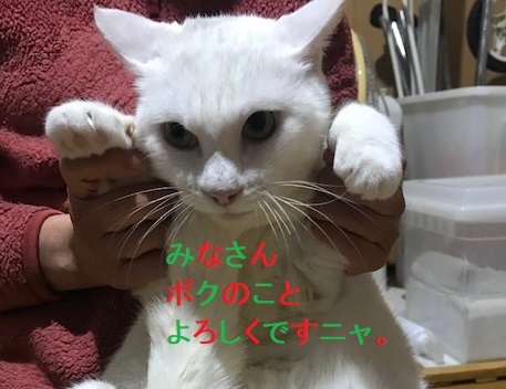 トイレもひとりで出来ますよ!_f0242002_23221138.jpg