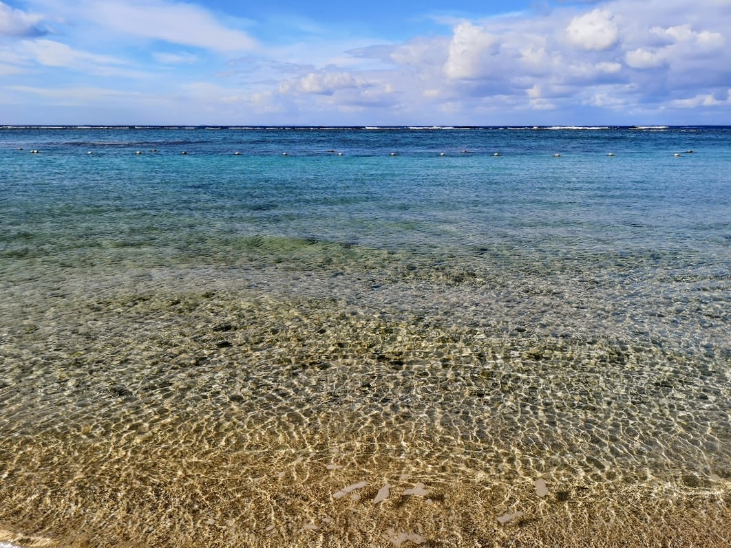 沖縄_c0114110_11323827.jpg