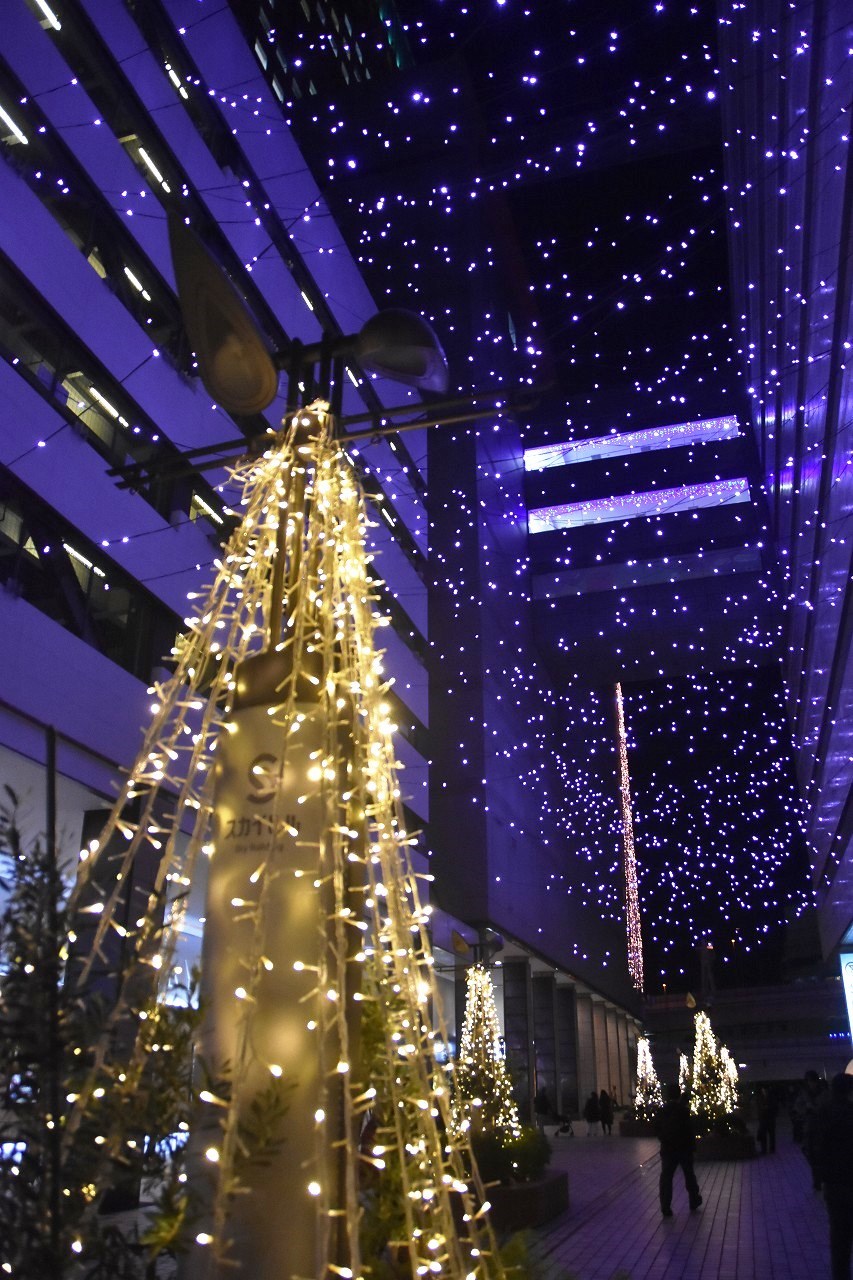 Yokohama illumination 光降る東口_d0065116_21370337.jpg