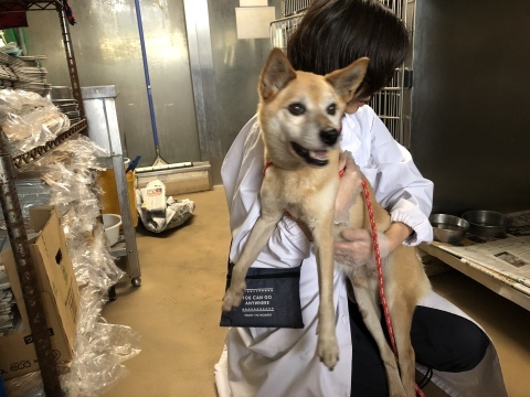 f0078320_00370505.jpeg