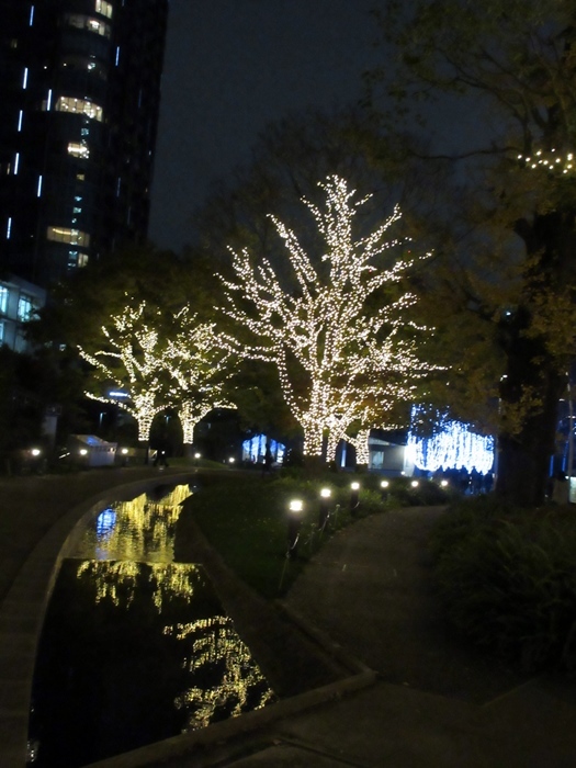 【東京ミッドタウンのクリスマス2019】_b0009849_17294103.jpg