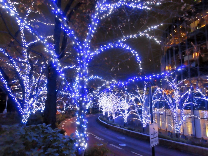 【東京ミッドタウンのクリスマス2019】_b0009849_17311824.jpg