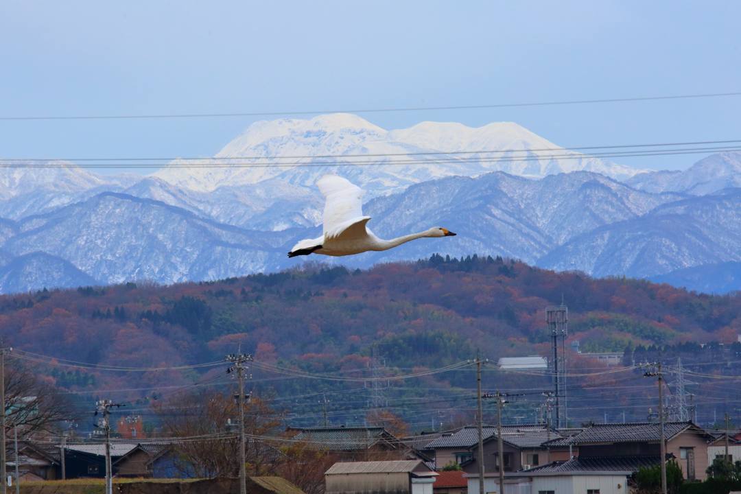 2019総集編その22_e0403850_09131747.jpg
