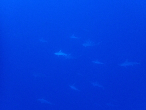 12月11日 急な時化_d0113459_17453318.jpg