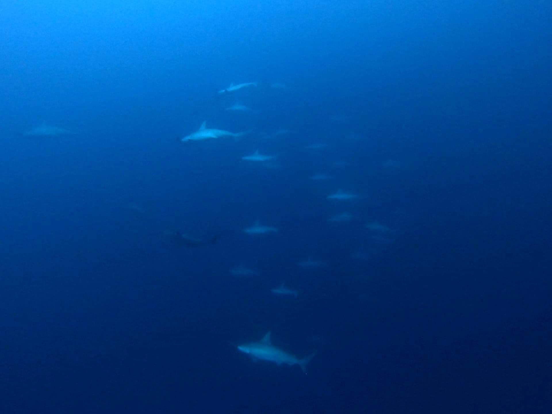 12月11日 急な時化_d0113459_17573282.jpeg