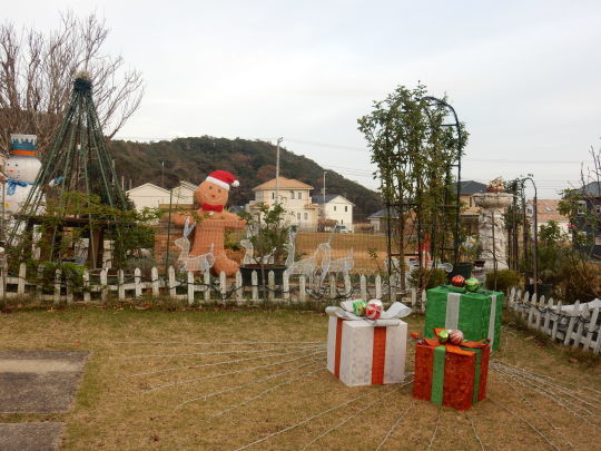 ’19,12,11(水)こころとクリスマスとビーフストロガノフ!_f0060461_10045994.jpg