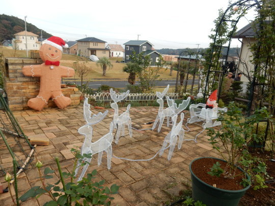 ’19,12,11(水)こころとクリスマスとビーフストロガノフ!_f0060461_10054843.jpg