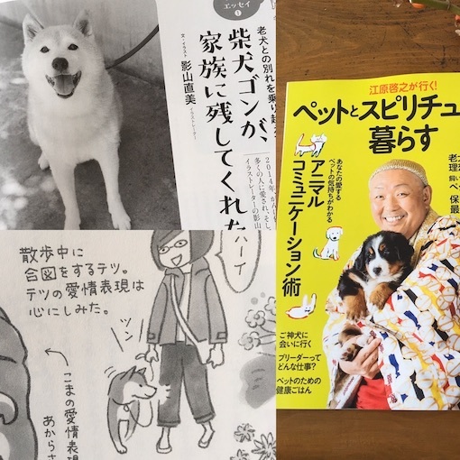 b0011075_18081292.jpeg