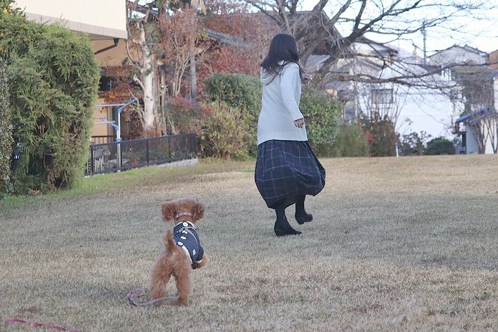 学びの森は素敵な公園でした。_b0111376_15383154.jpg