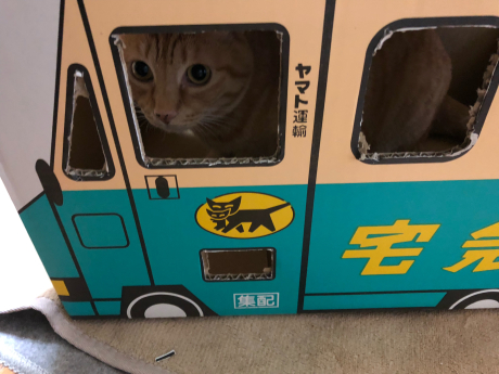 あの鳥さんに会いたい!①_e0355177_12214775.jpg