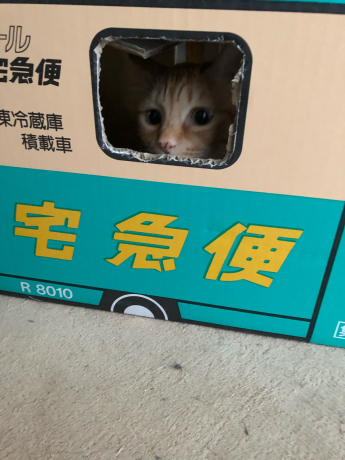 あの鳥さんに会いたい!①_e0355177_12250986.jpg