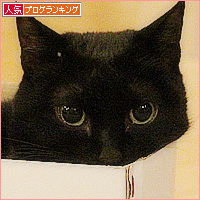 お節の準備_a0389088_10164605.jpg